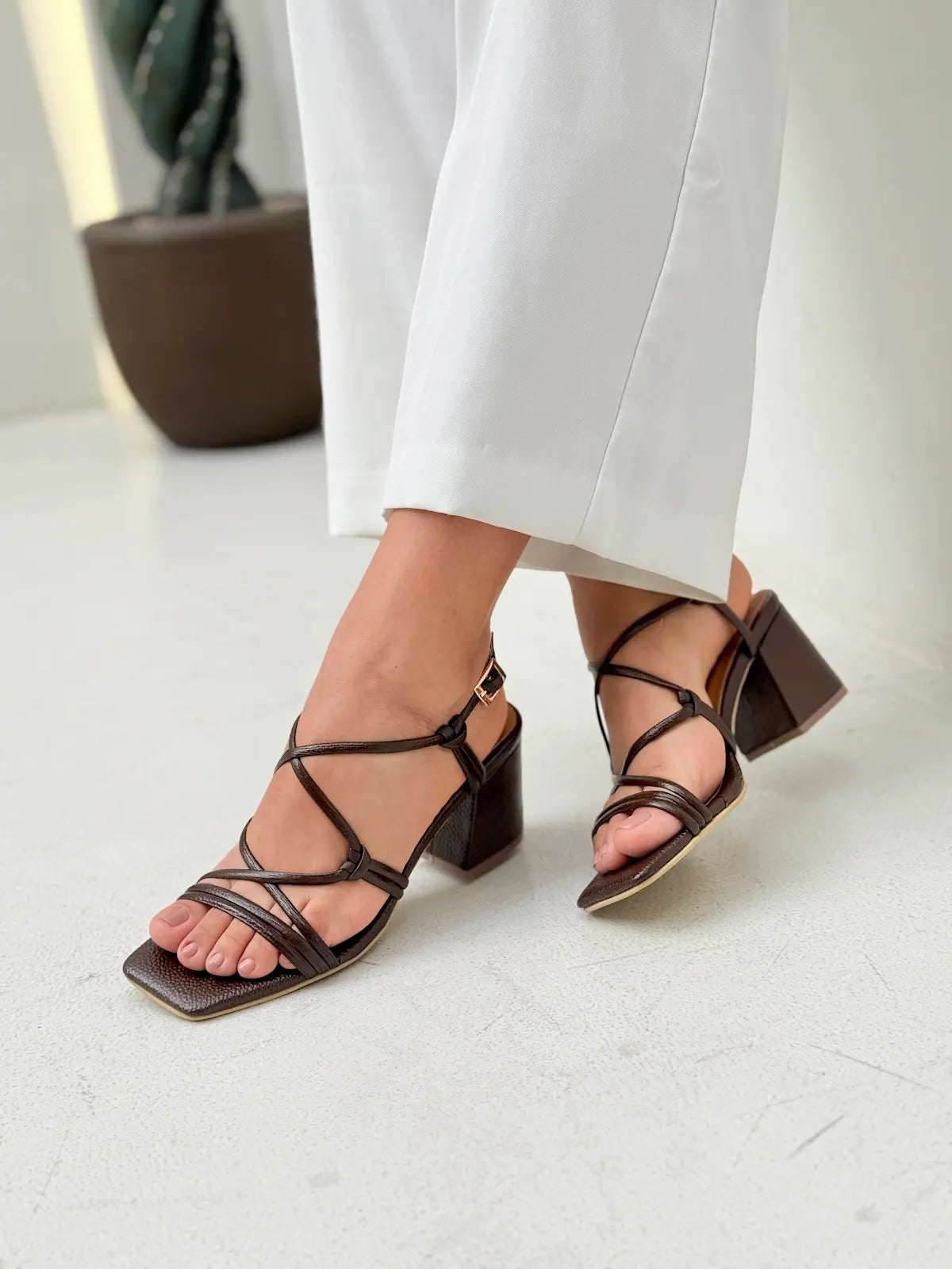 TACON ASTRID CAFE 5.5